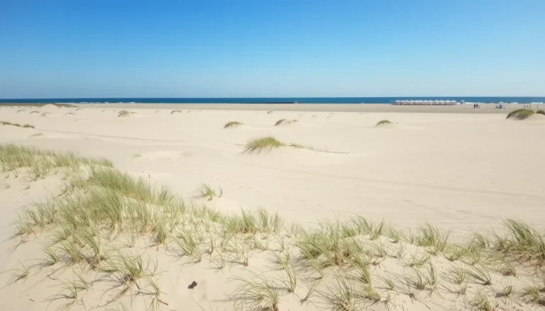 Plage de la Conche des Baleines : guide complet pour votre visite