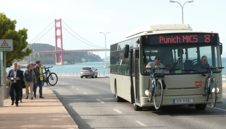 Horaires Bus Île de Ré 2025 : Guide Complet des Lignes, Navettes et Tarifs