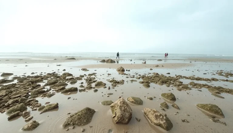 Horaires des marées à l&rsquo;Île de Ré : prévisions par commune, coefficients et guide pratique