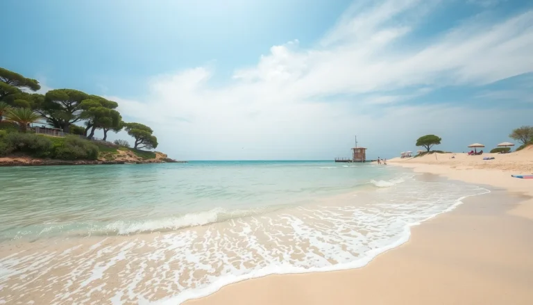 Plage de la Flotte (Île de Ré) : Guide Complet pour une Journée Parfaite