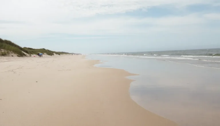 Plage de la Grange à Ars-en-Ré : accès, équipements et environs