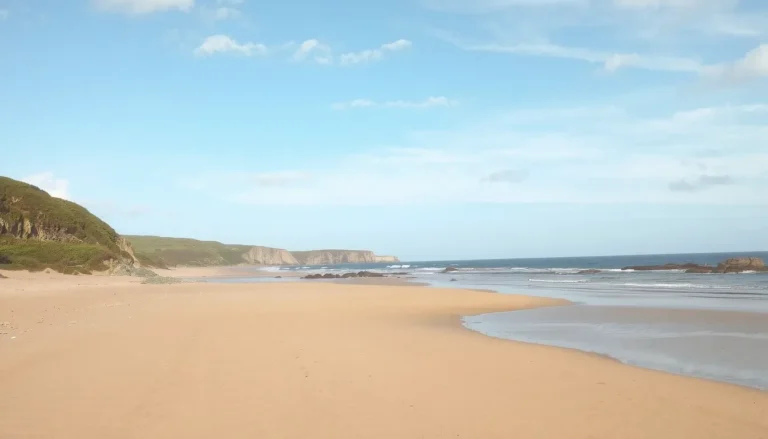 Plage de Basse Benaie à Sainte-Marie-de-Ré : guide complet, accès, marées et bons plans
