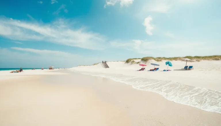 Plage de la Cible à Saint-Martin-de-Ré : accès, équipements et bonnes adresses